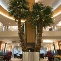 Edward & Convention Center Hotel Detroit