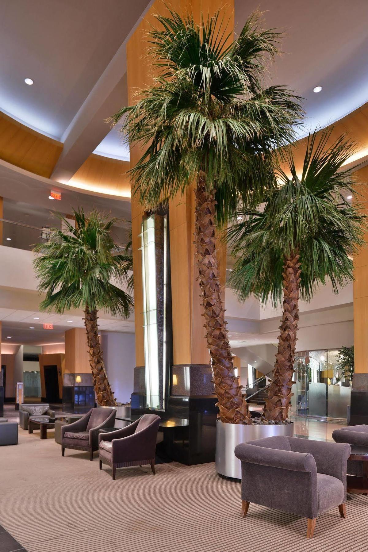 Edward & Convention Center Hotel 4*